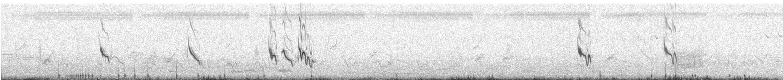 Cochevis de Malabar - ML625157226