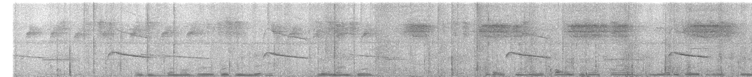 ムジヒメアリサザイ - ML625158927