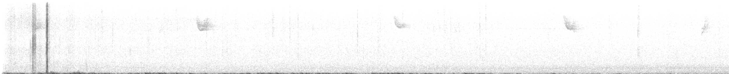 White-throated Sparrow - ML625158964