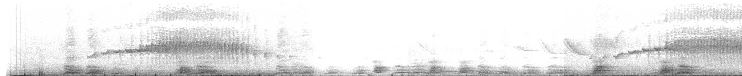 Cinclode à ventre sombre - ML625161727