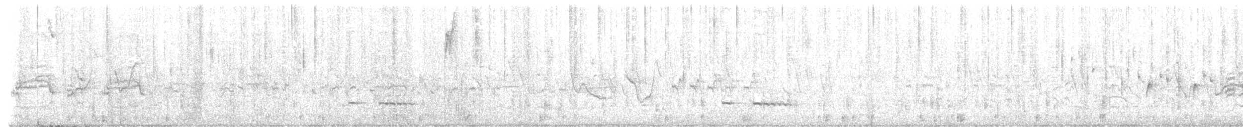 Equatorial Antpitta - ML625181843