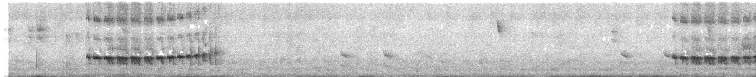 Panao Antpitta - ML625186066