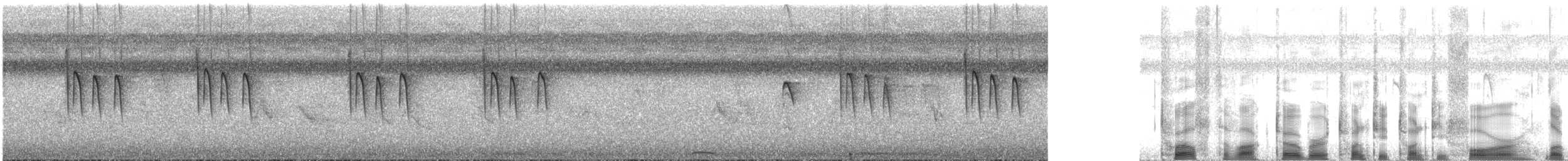 ホオアカカエデチョウ - ML625187609