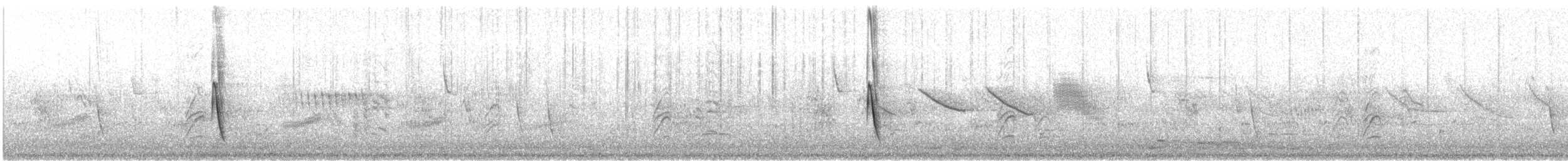 Austral Blackbird - ML625193402