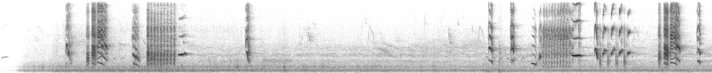 Austral Blackbird - ML625193460