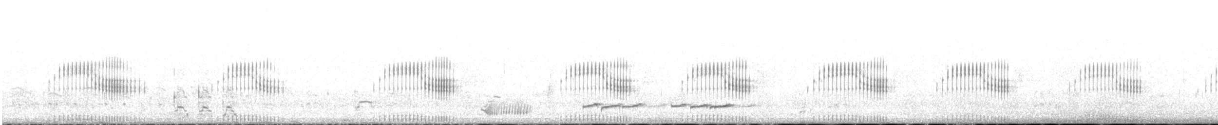 Silver Teal - ML625194196