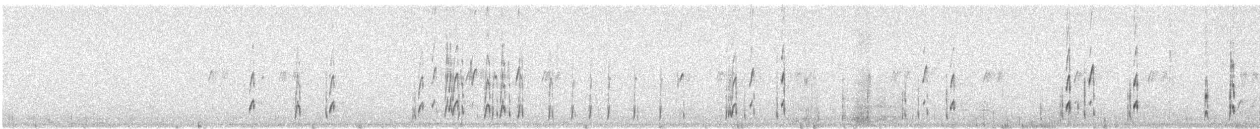 White-browed Ground-Tyrant - ML625194199