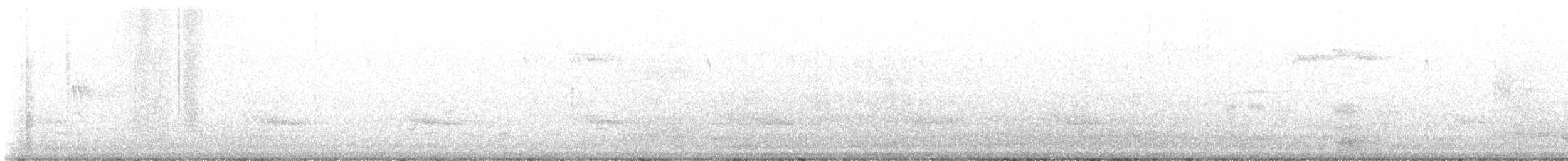 Carolina Wren - ML625196957