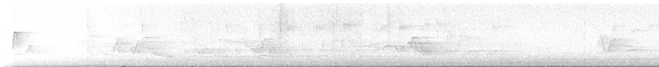 Cuculo americano - ML625204859
