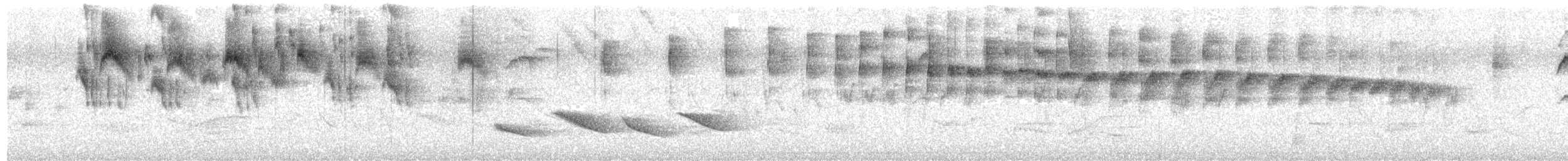 Variegated Flycatcher - ML625212142