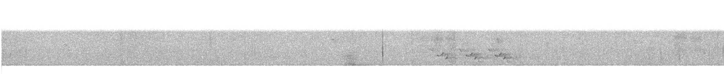 Carolina Wren - ML625218328