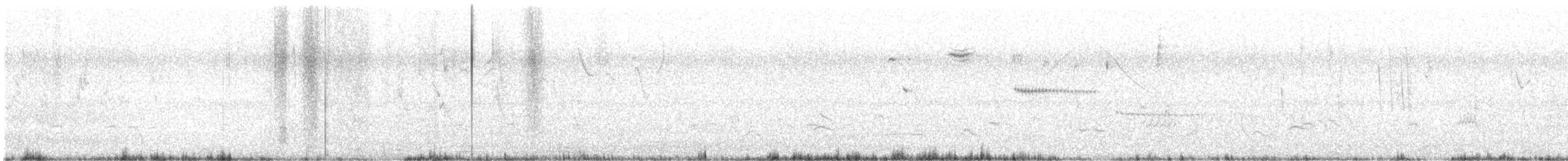 Spotted Nothura - ML625219956