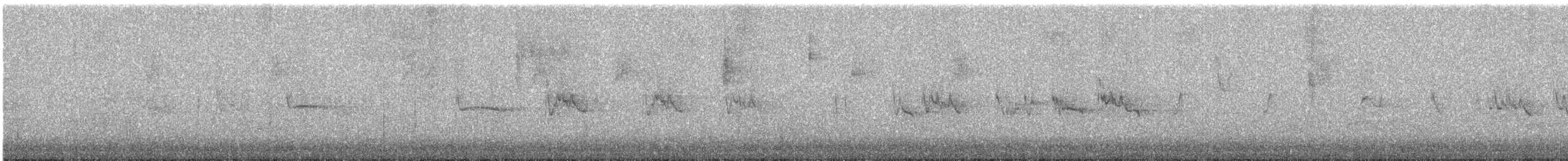 Silvereye - ML625221361