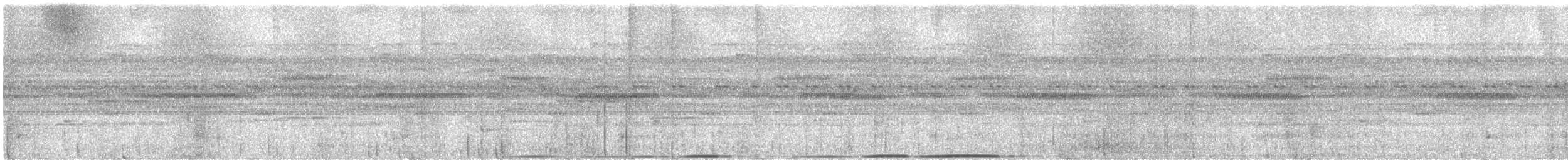 Nocturnal Curassow - ML625228875