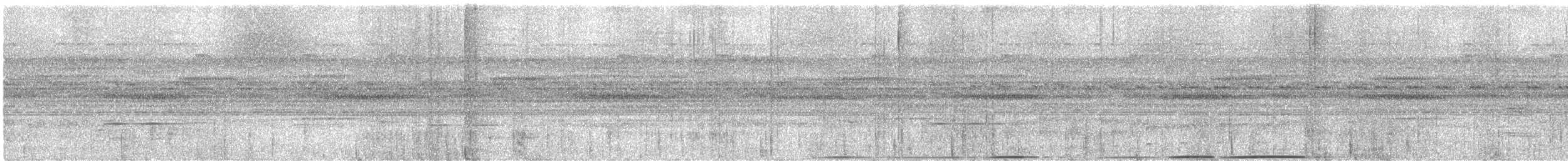 Nocturnal Curassow - ML625229259