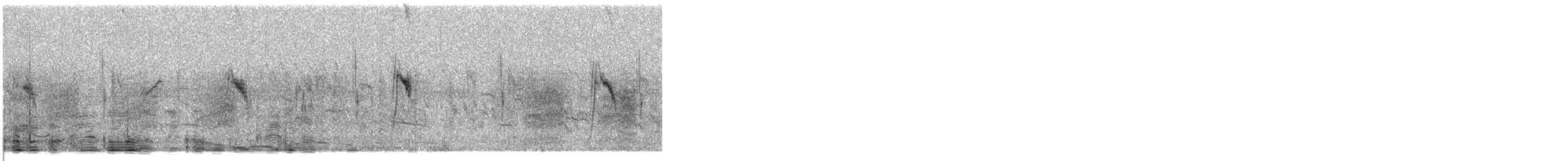 Өрнийн шар цэгцгий - ML625235635