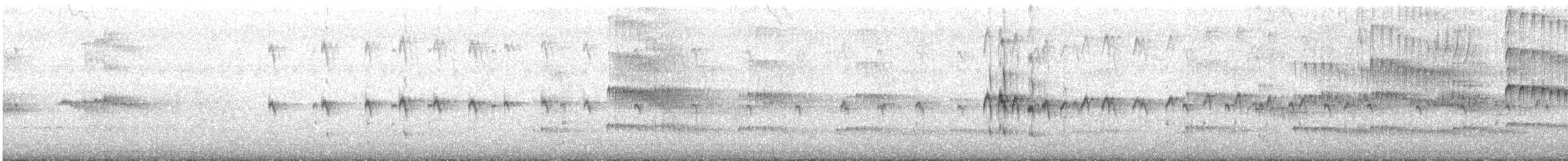 Домовый стриж - ML625237862