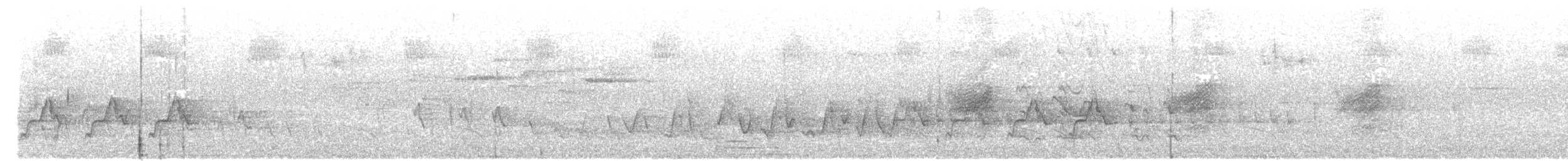 ビロードヒラハシ - ML625238787