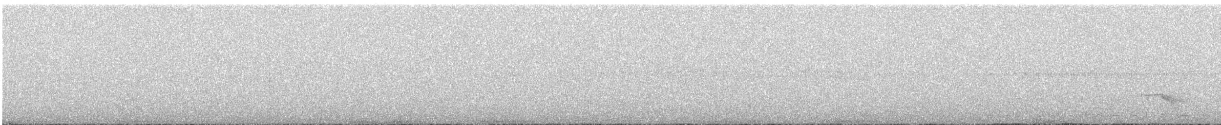 Tschudi's Nightjar - ML625241866