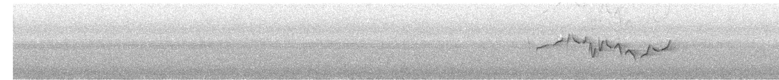 Scaly-breasted Cupwing - ML625242778