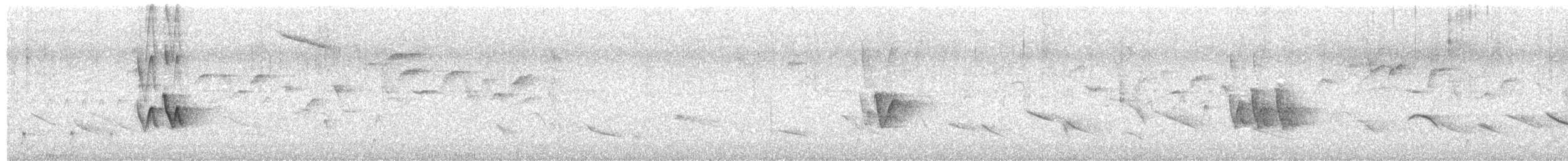 Chivi Vireo (migratory) - ML625243813