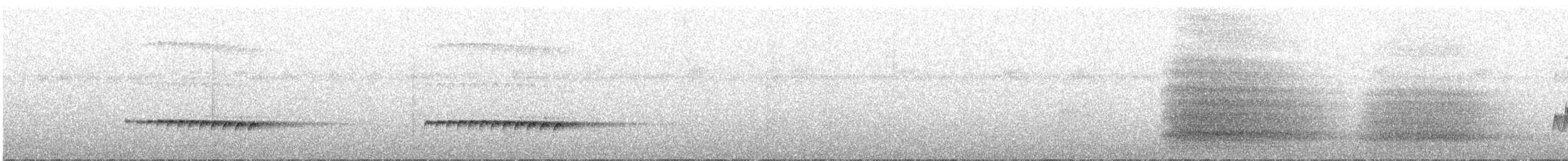 Kestane Karınlı Guguk - ML62524661