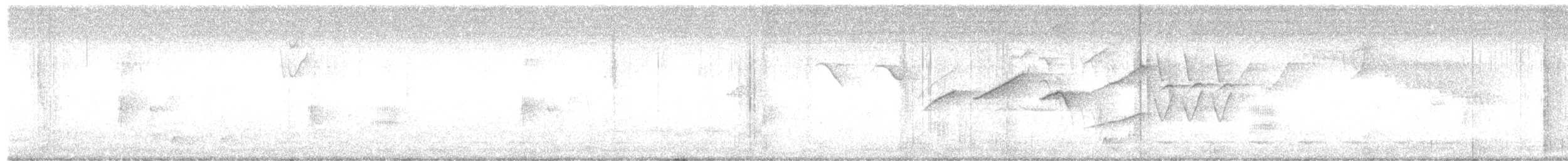 Black-tailed Tityra - ML625248751