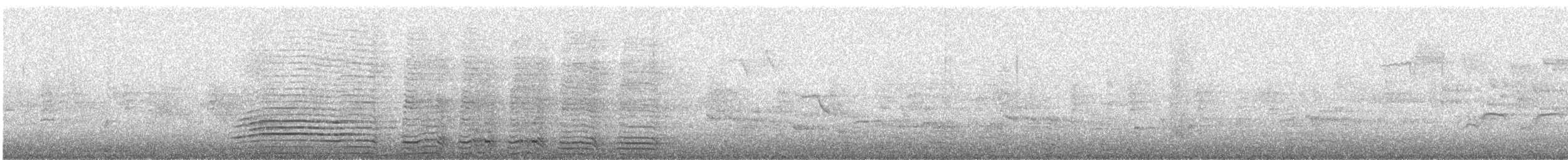 Trumpeter Hornbill - ML625251239