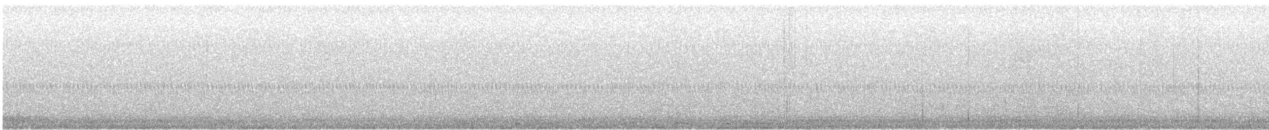 Chouette rayée - ML625252641