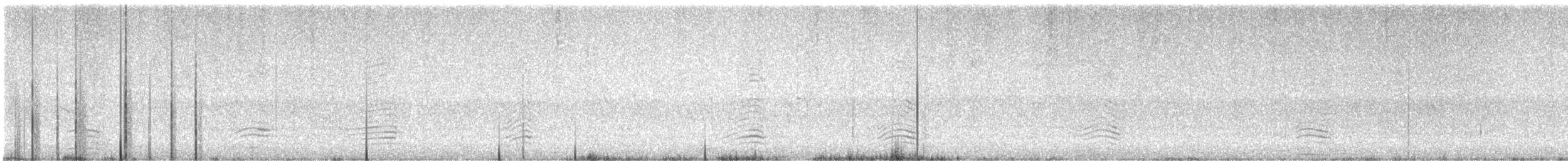 Western Swamphen - ML625260394