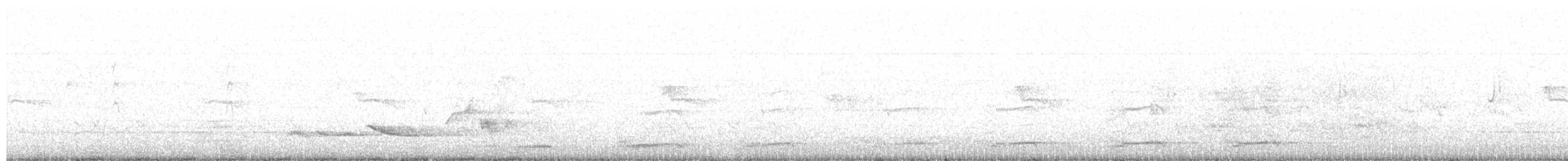 Channel-billed Cuckoo - ML625277354