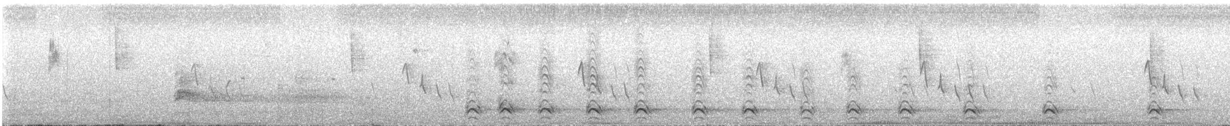 American Crow - ML62527771