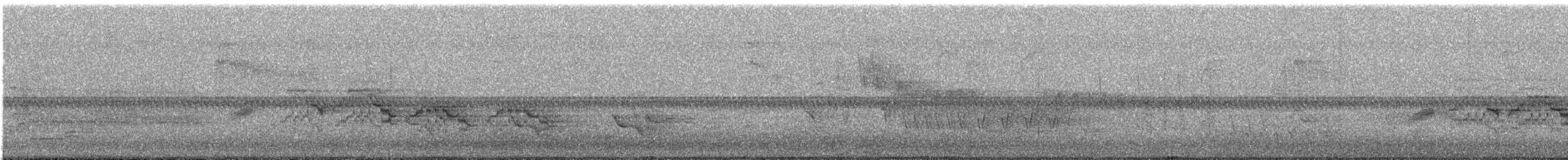 Veery - ML625278026