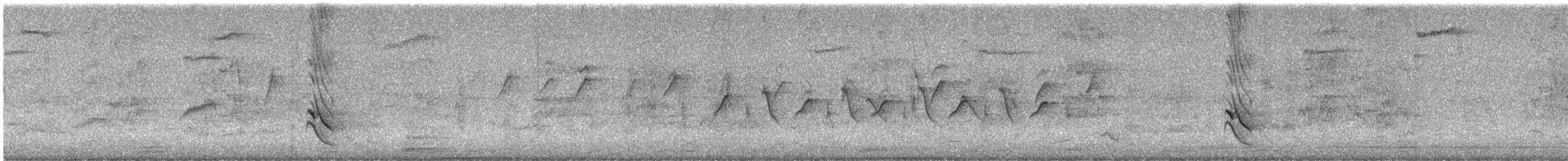 Rufous-banded Honeyeater - ML625285508