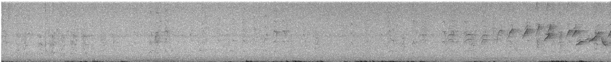 Rufous-banded Honeyeater - ML625285511