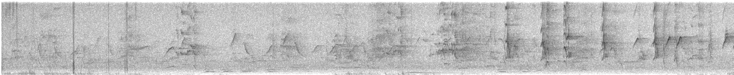 Rufous-banded Honeyeater - ML625285515