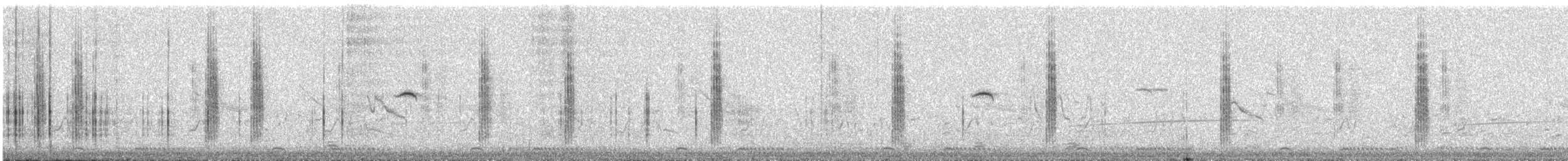 Tarabilla Africana - ML625286137
