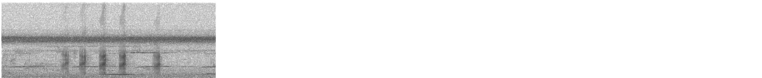 Black-tailed Tityra - ML625294985