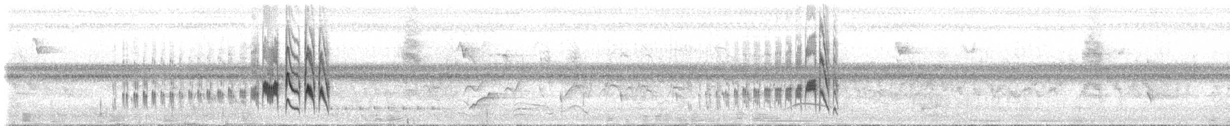 Mouse-colored Tyrannulet (Southern) - ML625299375