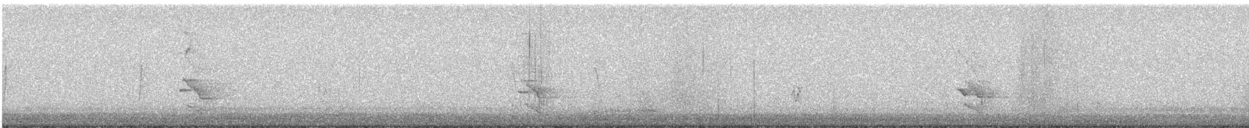Northern Flicker - ML625301929
