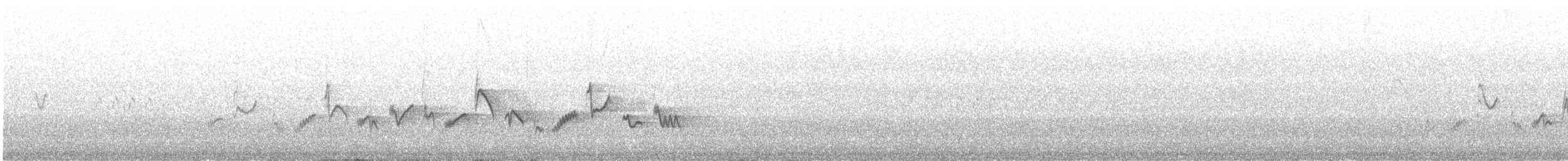 Warbling Vireo (Western) - ML625305726