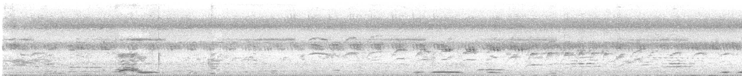 Eurasian Collared-Dove - ML625306907