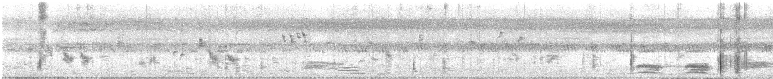 House Crow - ML625306921