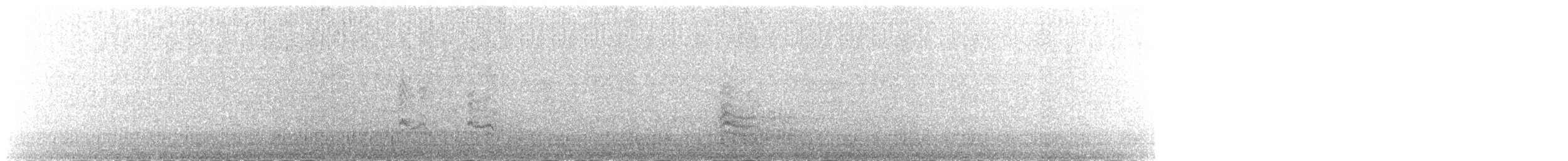 ostnák bažantí - ML625318067