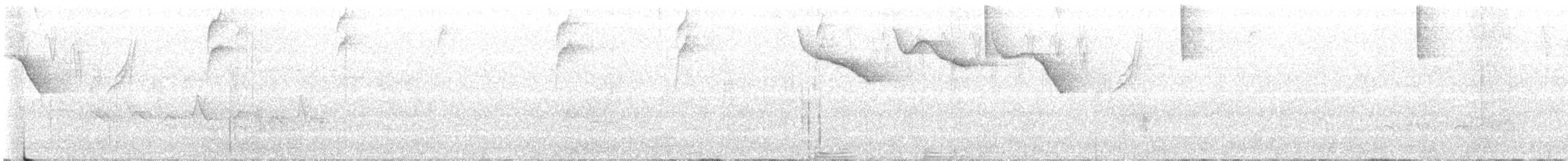 Half-collared Sparrow - ML625318260