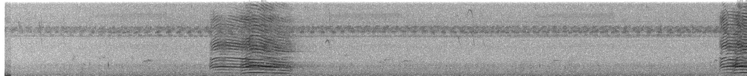 Hadada Ibis - ML625320007