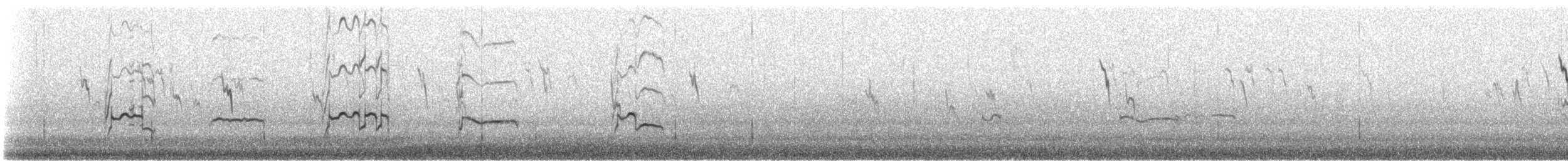 חופזי אמריקני - ML625323244