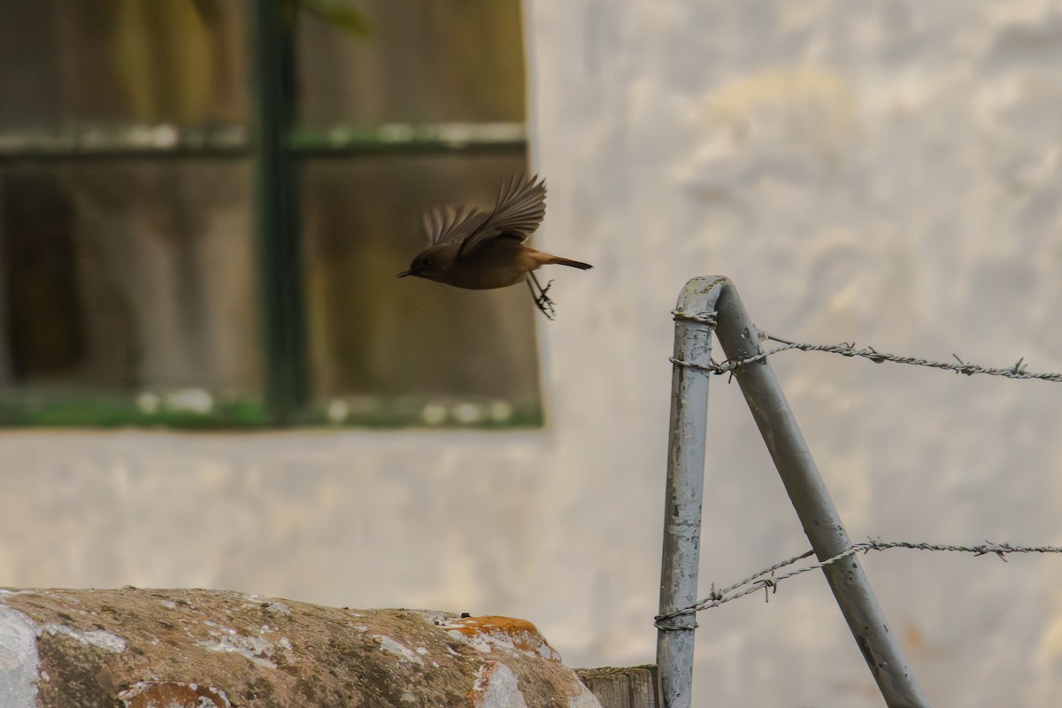 Familiar Chat - Antonio Rodriguez-Sinovas