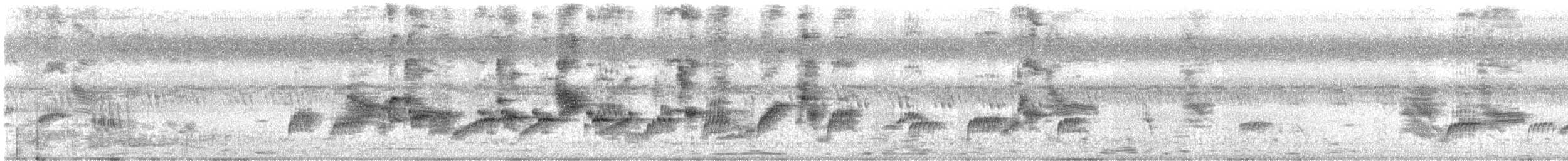 Indian Pied Starling - ML625344255