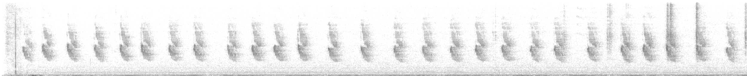 Auripare verdin - ML625347847